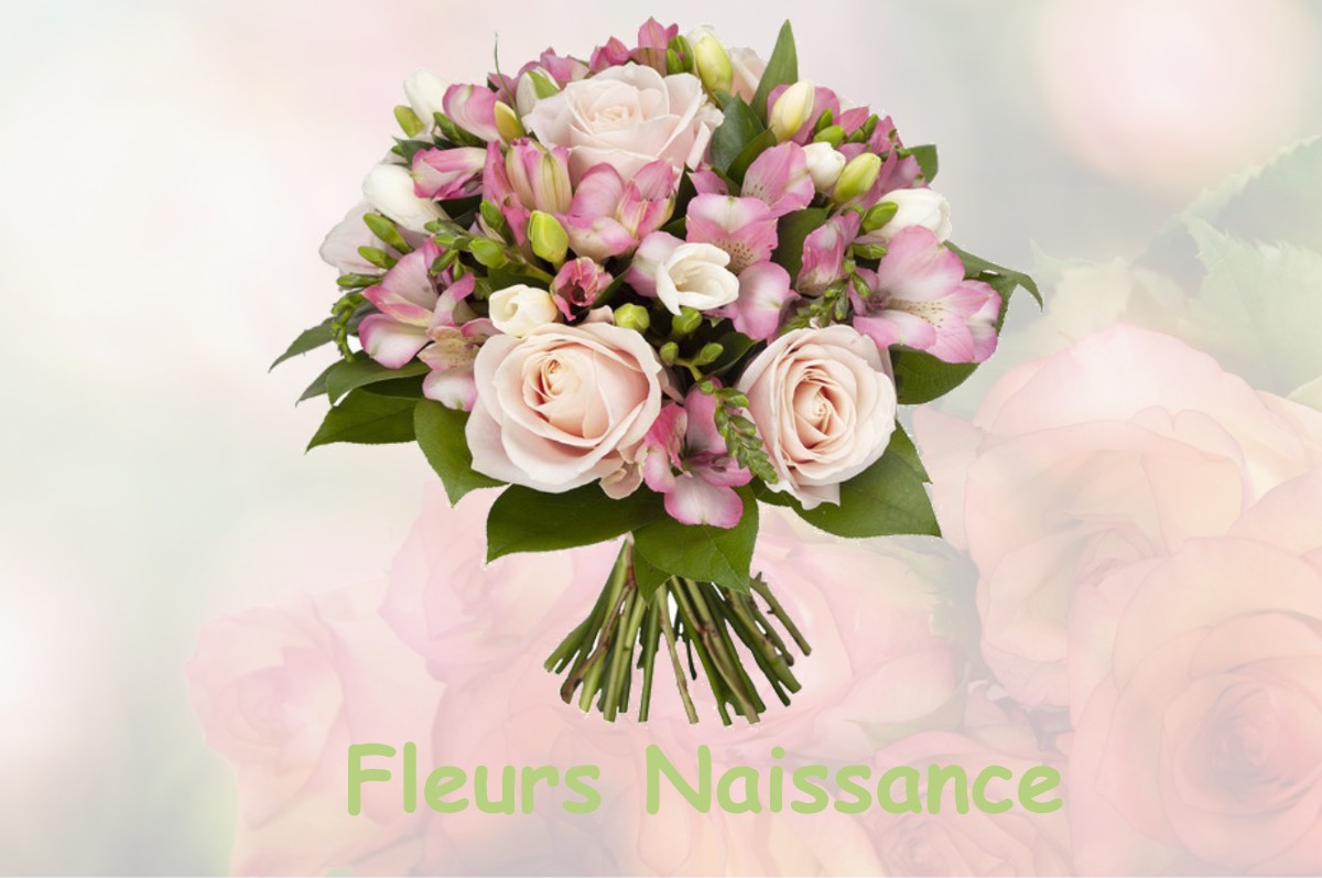 fleurs naissance CUSSAC-FORT-MEDOC